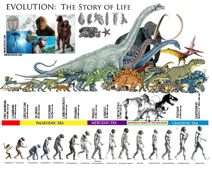 Historical Background and Evolution