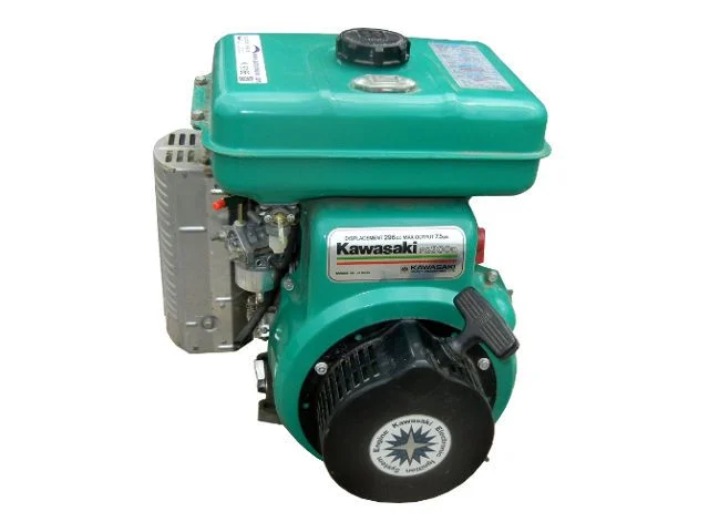 What Is Kawasaki FG300? (Beginner‑Friendly Explanation)